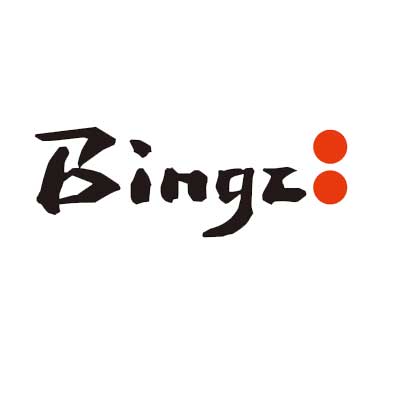 Bingz Logo Web